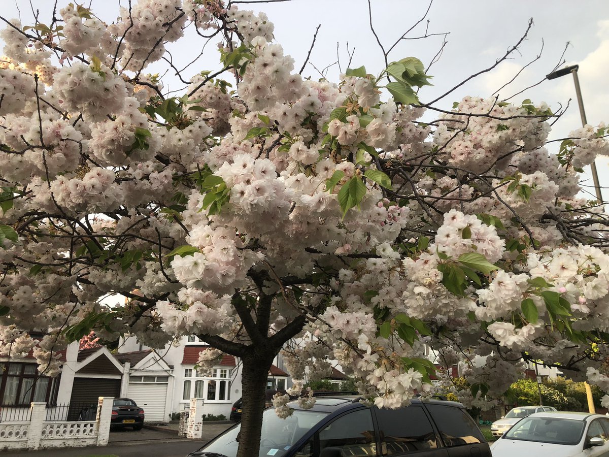 Sarah Coyte tweet media