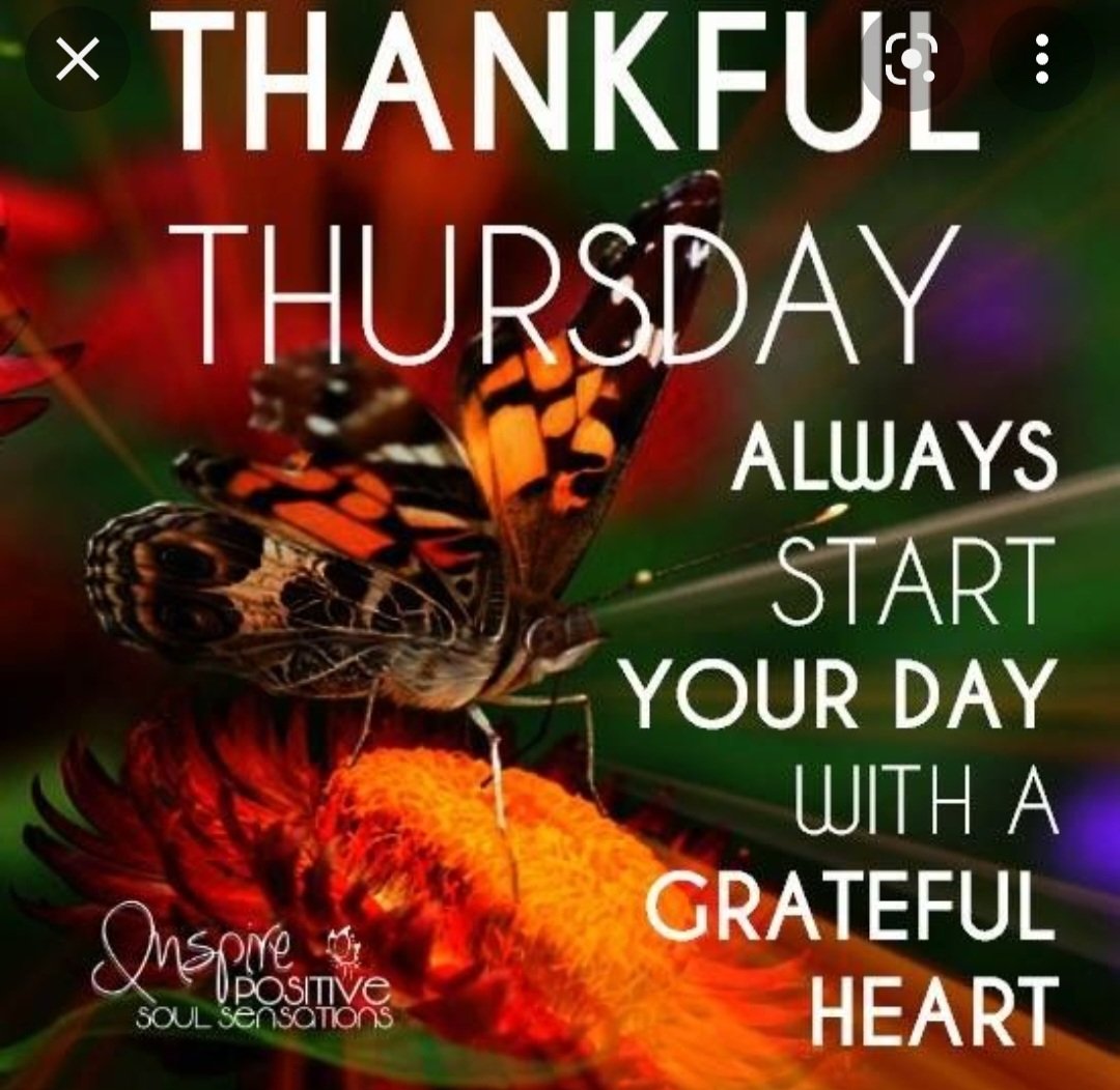 Good morning Beautiful people ☕️☕️
Happy Thankful Thursday❗️
What are you Thankful for❓️
#goodmorning #thankful #ThankfulThursday #womeninbusiness #fiancialfreedom