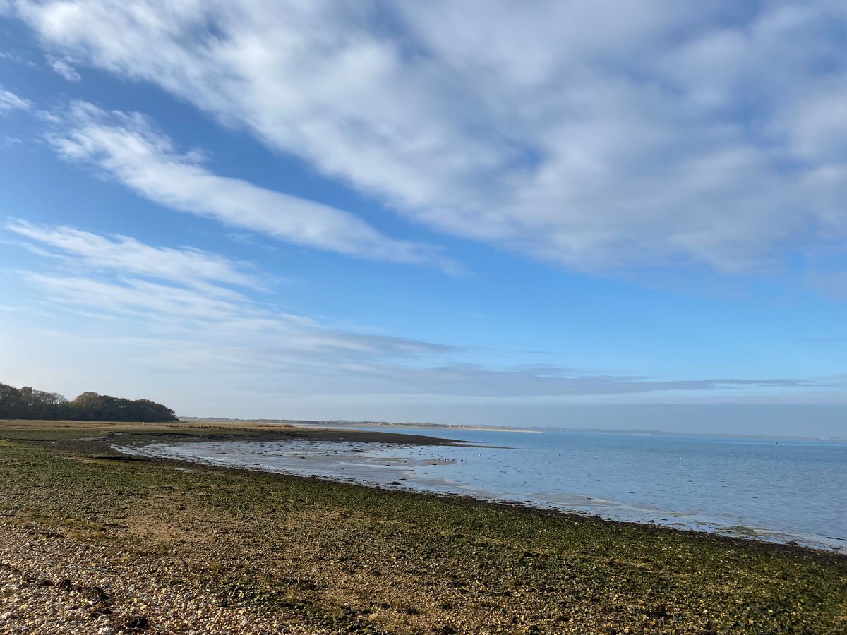 FriendsChiHarbr's tweet photo. #ReturnoftheTern Nature Recovery Officer Jess Vagg: Inspired by the work that @chichesterharbo has already undertaken deploying tern rafts off #ThorneyIsland, it's exciting to expand this activity with the placement of new rafts at points across #chichesterharbour https://t.co/k5VNEjDWMz