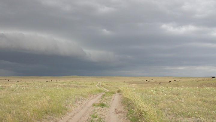 beef_educator's tweet photo. https://t.co/oDieejOn4s

Use this #UNL_CAP page for your ag accounting and record keeping needs. Find resources to help with every level of knowledge

And be sure to check out today's noon webinar looking at farm and ranch balance sheets. https://t.co/2l89fAVtMN