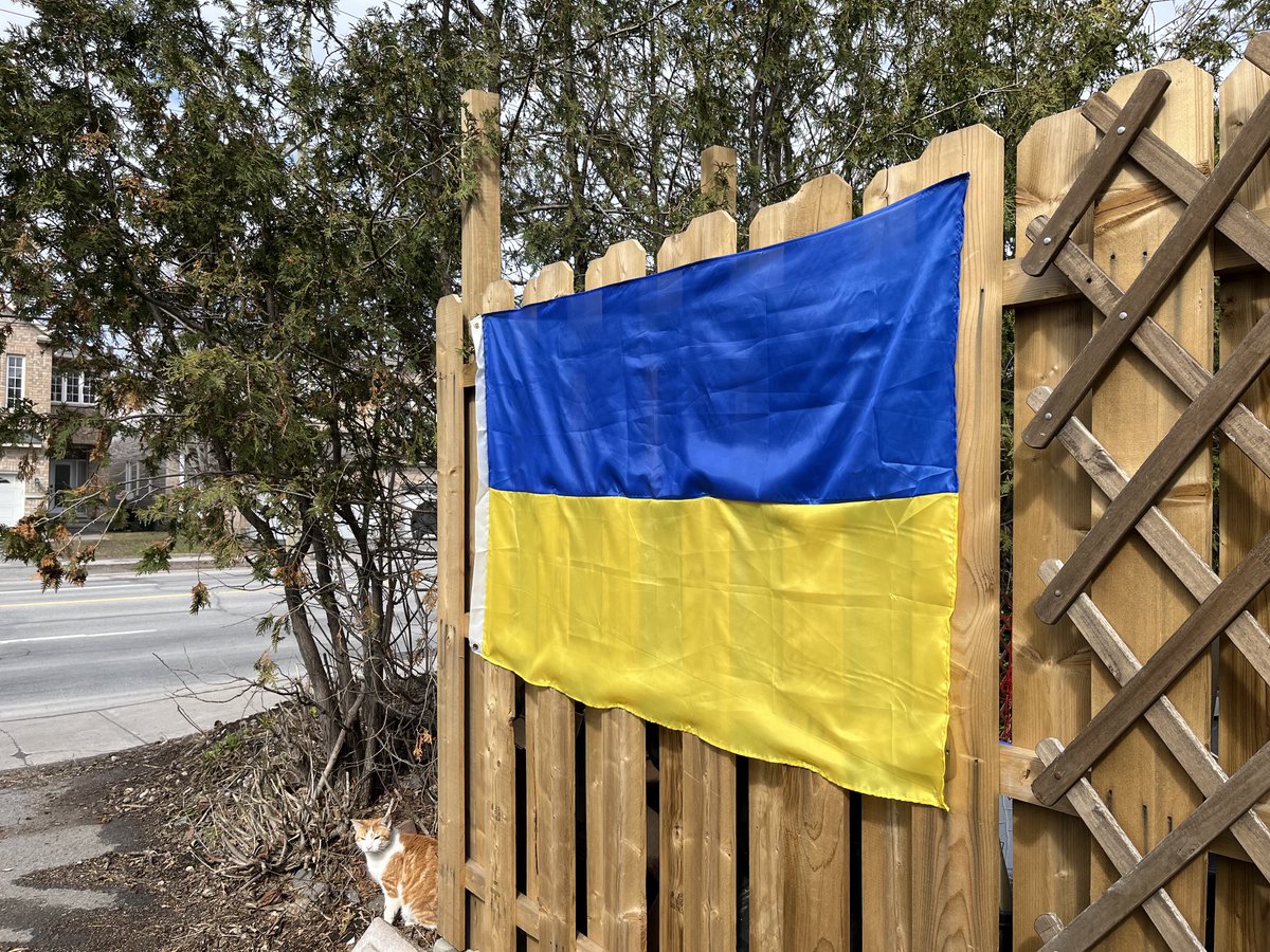 HallieCBC's tweet photo. Ukrainian newlyweds Olha Hoshlia &amp; Nazar Khortiuk find safe haven in Ottawa with Rachel Horlsey &amp; family who started FB group Ukrainian Settlement Helpers Ottawa. ⁦@OttawaMorning⁩ https://t.co/sLsbahjgBS