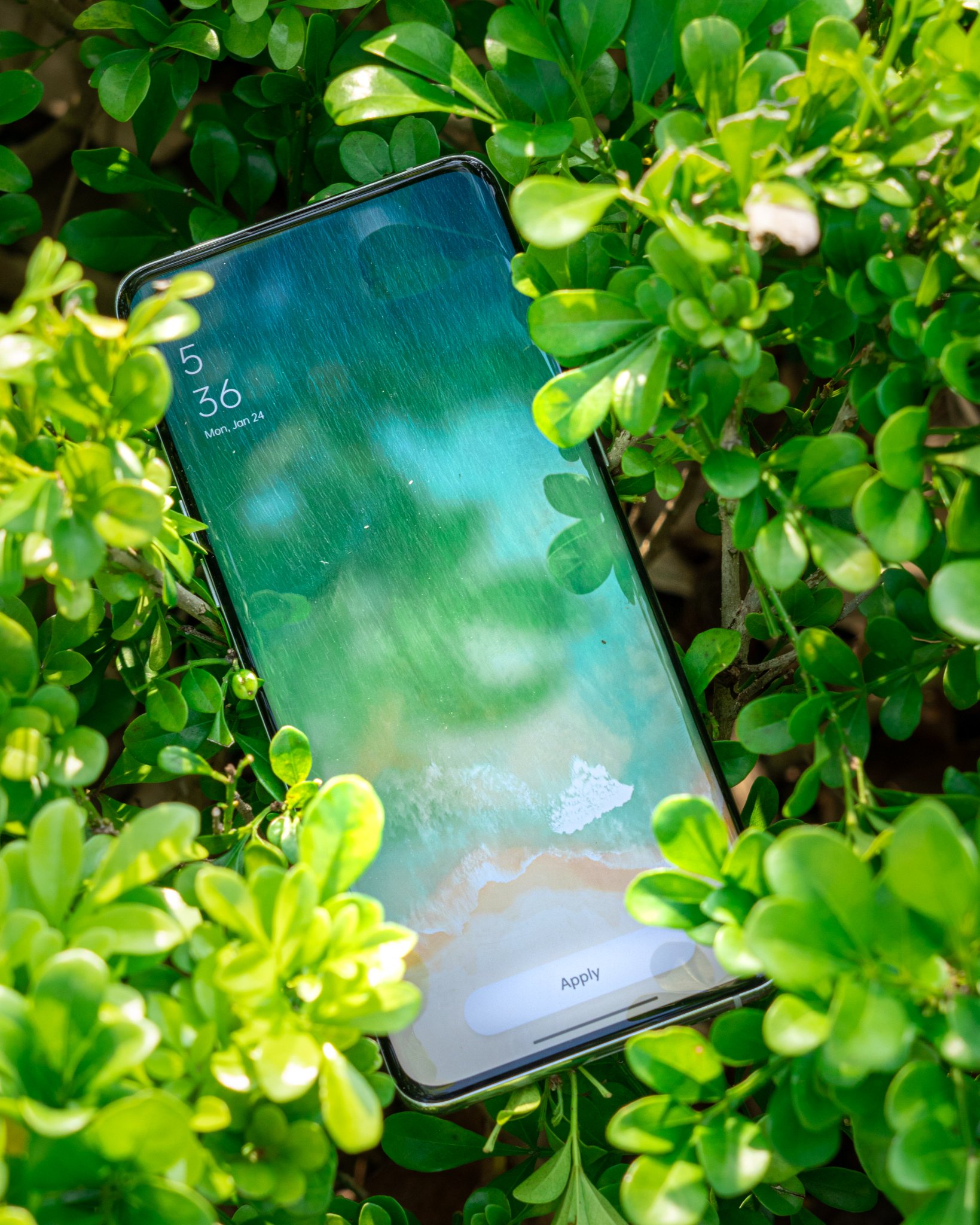 ColorOS on Twitter: "Get closer to nature this #EarthDay #ColorOS https