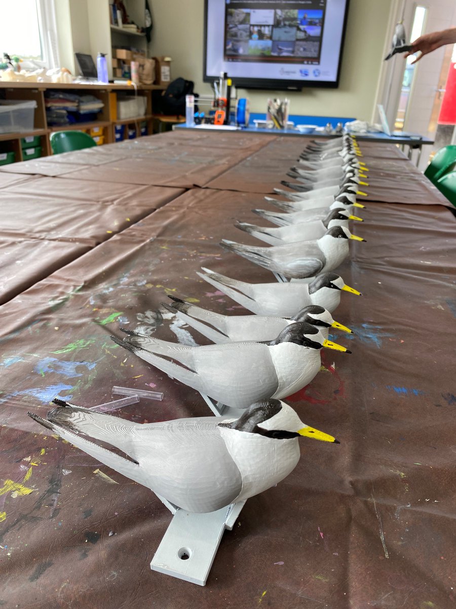 FriendsChiHarbr's tweet photo. Last week, we collaborated with the @chichesterharbo #ChichesterHarbour Conservancy Youth Rangers who painted and printed out 3-D images to mimic terns as a visual cue to attract real birds to nest on the rafts. 
#returnofthetern #aonb #nationallandscapes https://t.co/sHMbgdeh1q
