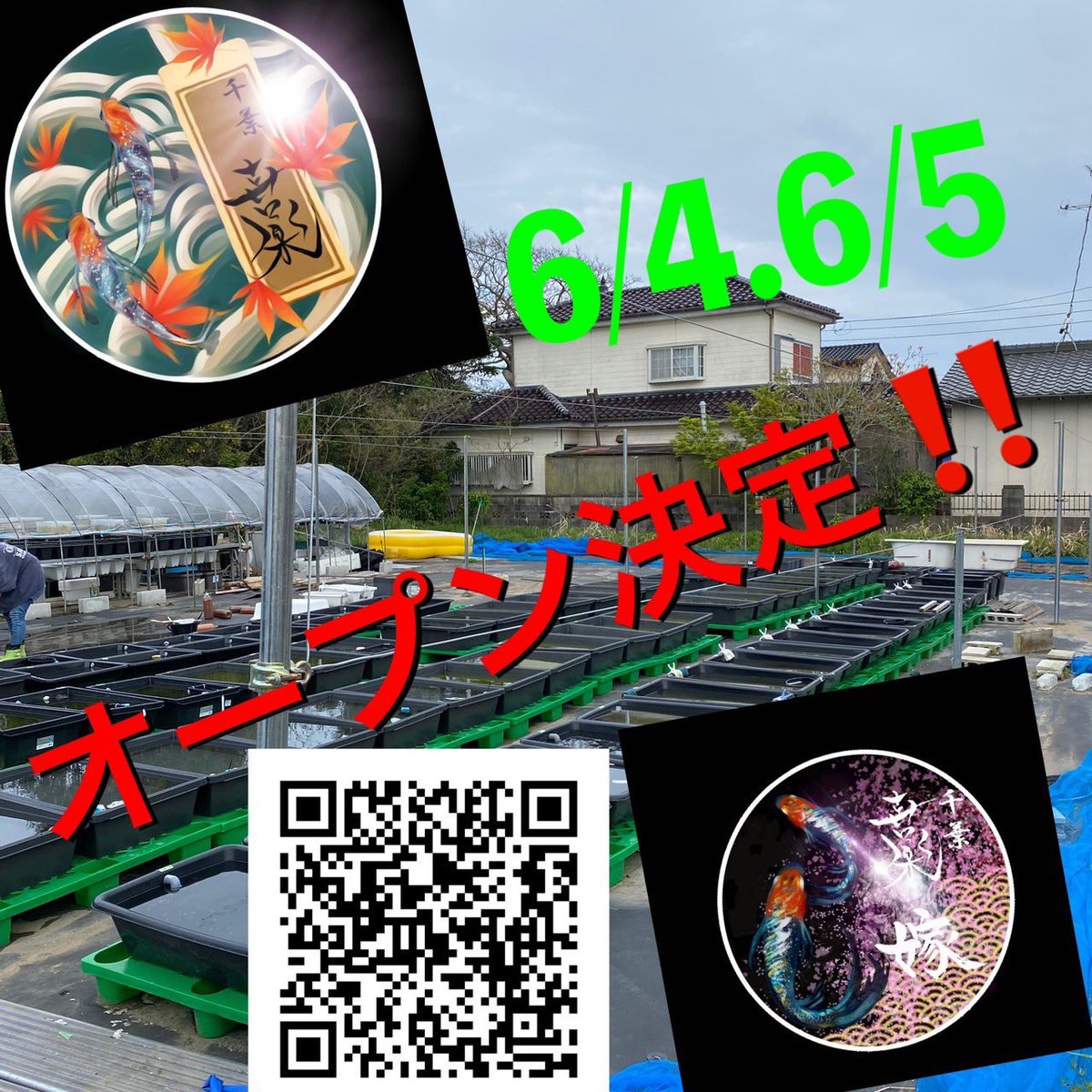 皆さんに支えられ、やっとここまできました🙇‍♂️
2022年6月4日、5日
遂に、めだか処　喜楽オープンさせていただきます🙇‍♂️🙇‍♂️
まだまだ経験不足、勉強不足ではありますが信念を崩さず、めだか処　喜楽を貫く気持ちでいます🙇‍♂️メダカという共通の趣味を持った仲間が自然と集まる場所を作っていきたいと思います