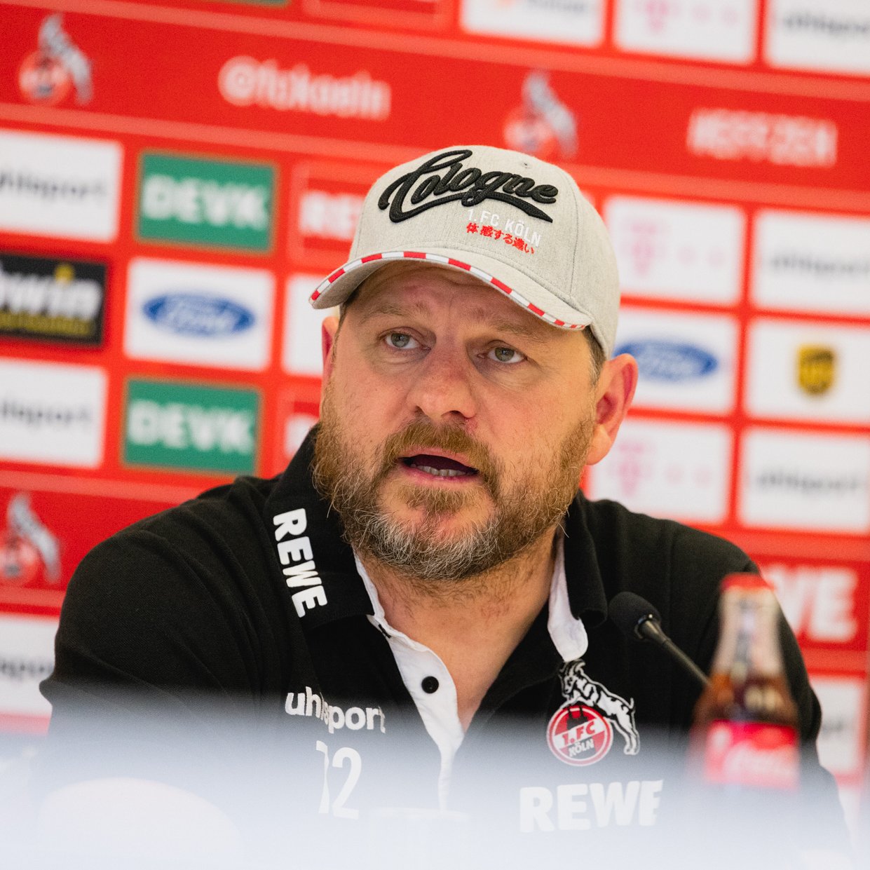1 Fc Cologne Football GIF by 1. FC Köln