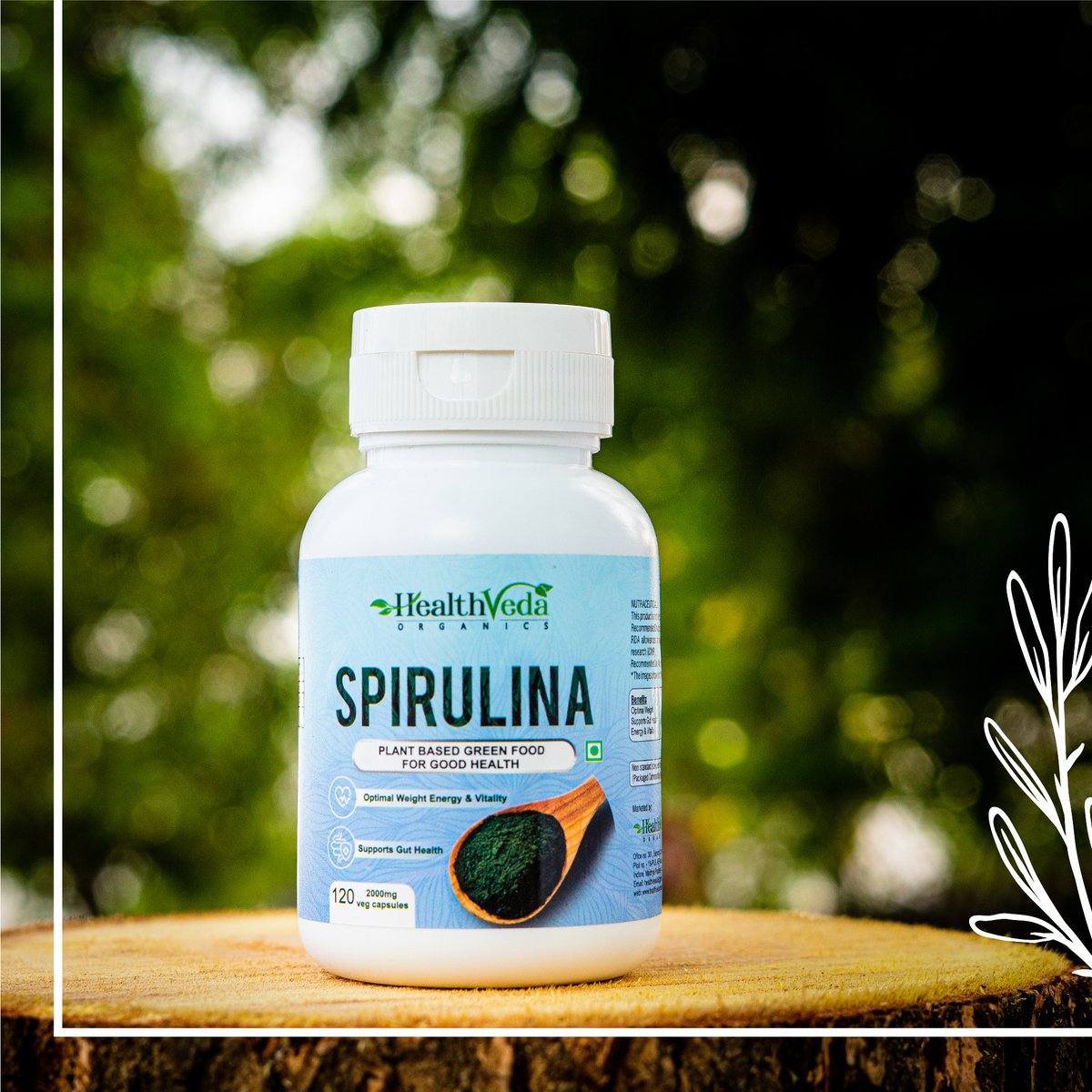 healthvedaorg's tweet photo. Support your gut health for a healthy tomorrow with all-natural Spirulina
o Boosts energy
o Manage weight
o Improve gut health
o Strengthen muscles
Link in Bio.
#healthvedaorganics #spirulina #manageweight #boostsenergy #strengthenmuscles #guthealth https://t.co/vMEx9Q0cLA