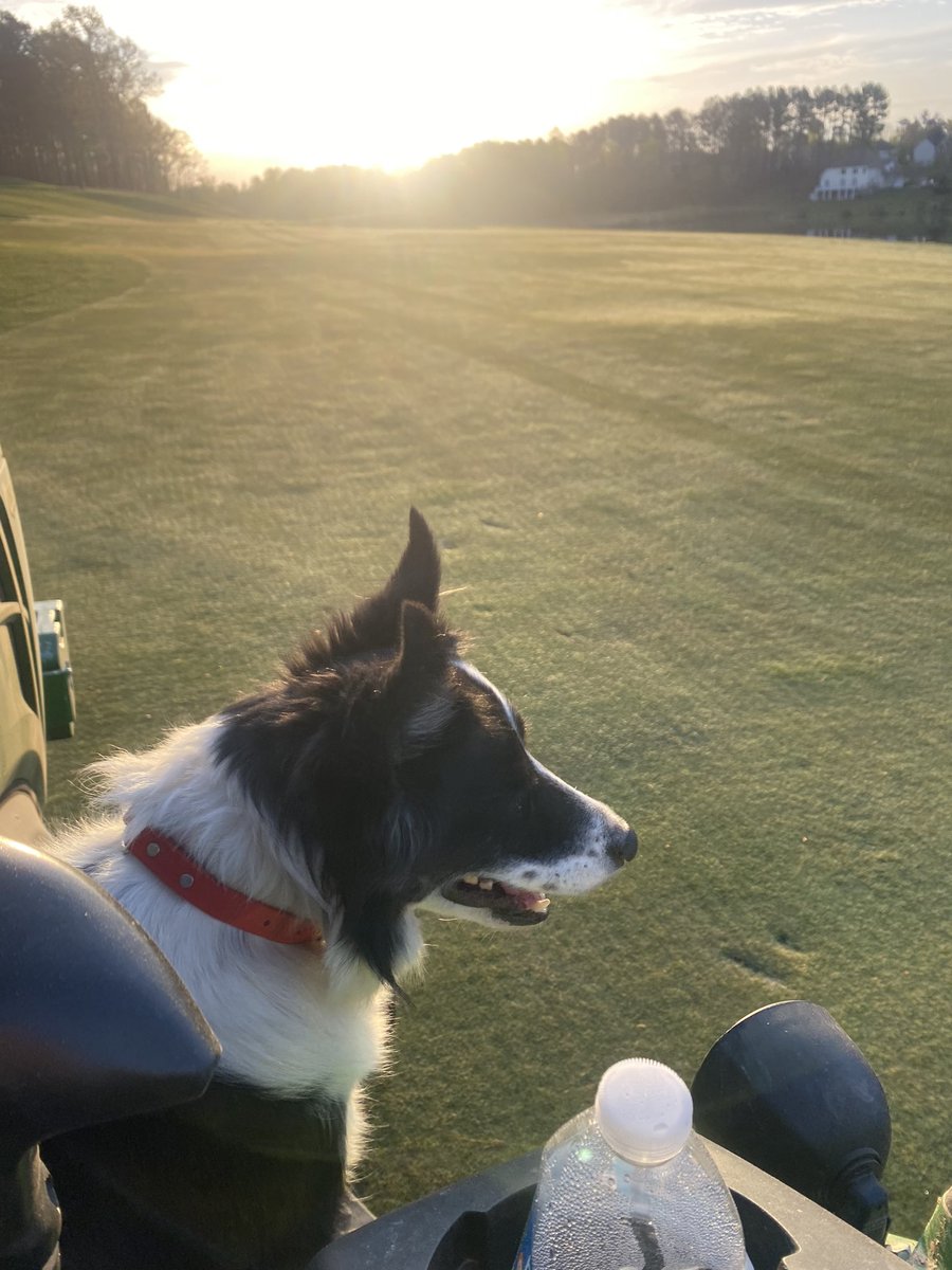 rholbrook89's tweet photo. 10-2-8 @NatureSafe going out on fairways today. https://t.co/tOp12xp8mY