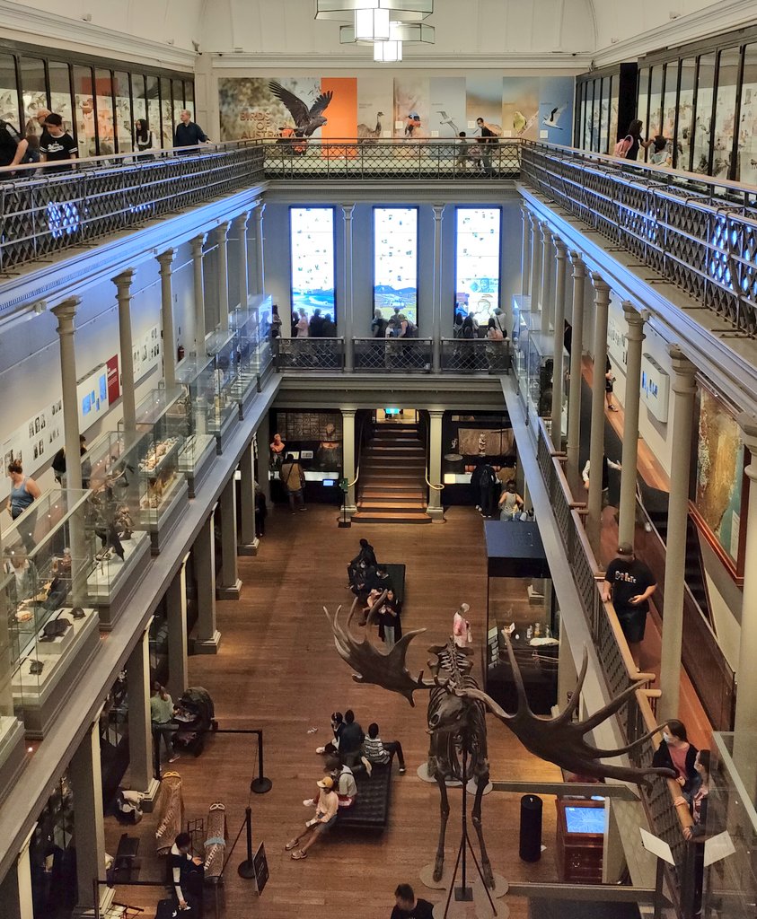 Hélène Bois (@hln_bois) on Twitter photo Même à 16 960 km je ne perds pas les bonnes habitudes ! Au programme de la journée : visite de <a href="/austmus/">Australian Museum</a> de #Sydney pour découvrir la culture aborigène et insulaire du détroit de Torres, leur collection de dinosaures australiens et les animaux australiens les plus dangereux ! 🇦🇺🐨 Même à 16 960 km je ne perds pas les bonnes habitudes ! Au programme de la journée : visite de <a href="/austmus/">Australian Museum</a> de #Sydney pour découvrir la culture aborigène et insulaire du détroit de Torres, leur collection de dinosaures australiens et les animaux australiens les plus dangereux ! 🇦🇺🐨