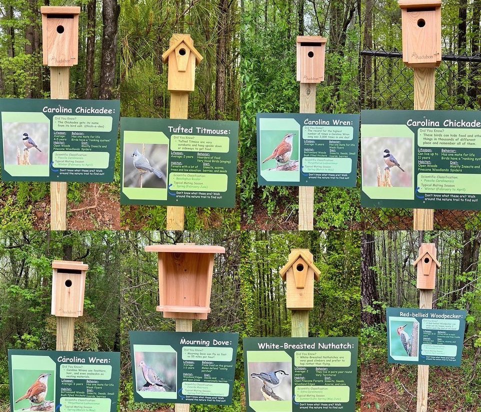 TrittSTEAM's tweet image. Huge appreciation to Cameron from Troop 795 for installing new bird houses with interpretive signage! @CobbSchools #outsidelearning