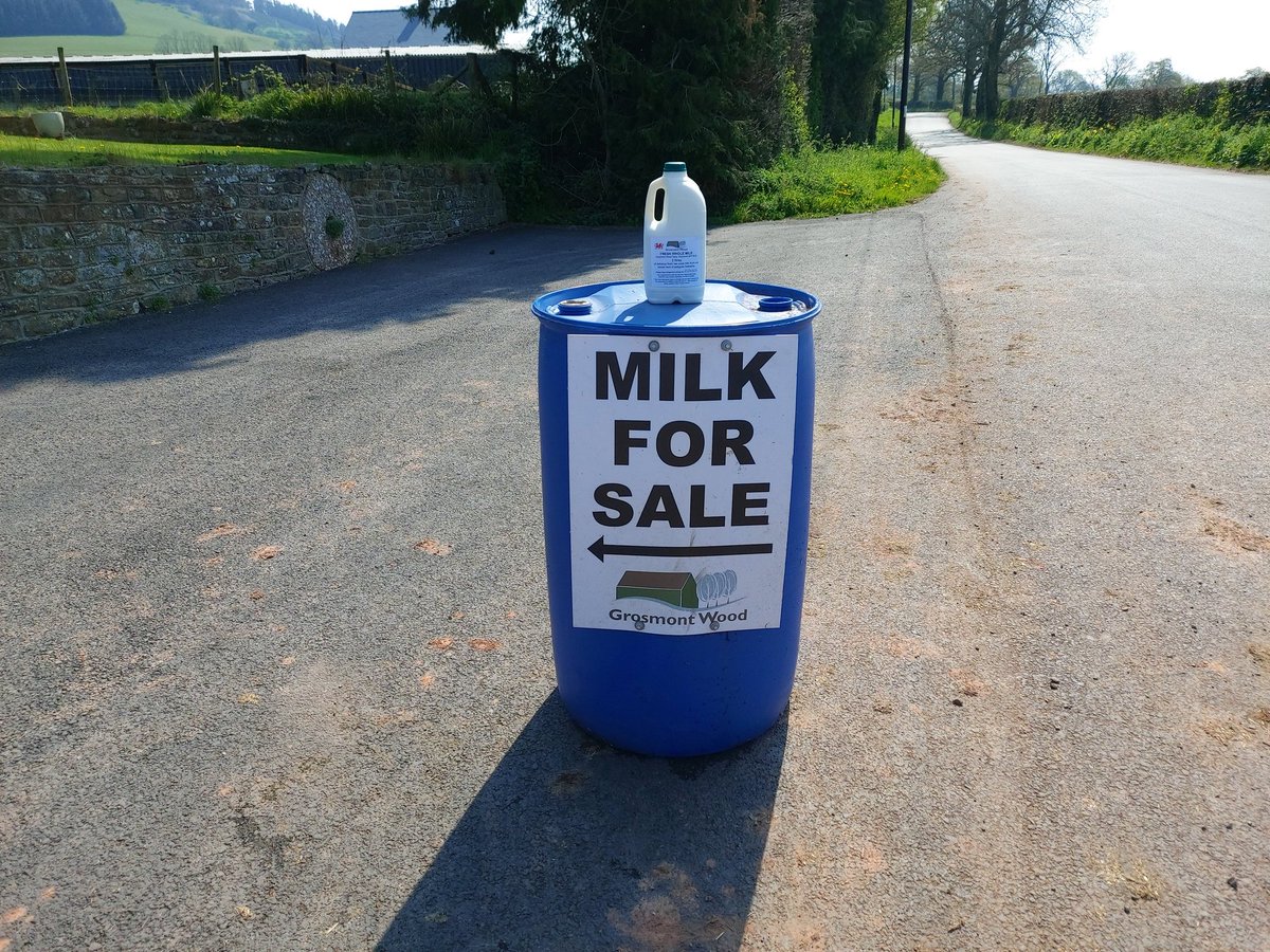 Raw milk is back inconclusive cows all went clear. 
Certified and tested never give up!
#rawmilk
#familyfarm
#teamdairy
