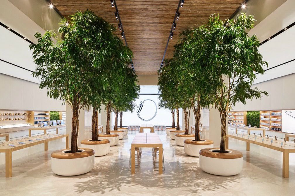 CryptoManiac55's tweet photo. @Tesla @elonmusk Huge plants or trees in the plant would provide employees with a psychological engagement and improve the air quality. Would you consider this. Check out this apple store for inspiration. https://t.co/ciMmUdYRxn