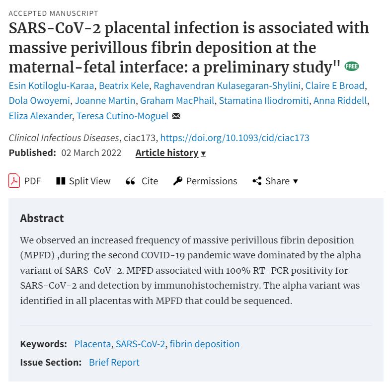 Preliminary study (by <a href="/M_Iliodromiti/">Matina_Iliodromiti</a> &amp; colleagues) of placentas during #London's second #COVID wave found an increased frequency of a rare lesion, usually reported in &lt;1% of #pregnancies 🤰

📑: doi.org/10.1093/cid/ci…

<a href="/kt_network/">KT Network</a> <a href="/QMUL_WIPH/">Wolfson Institute of Population Health</a> #WomensHealth #reproductivehealth