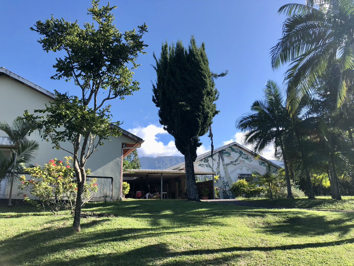 Auticiel tweet media