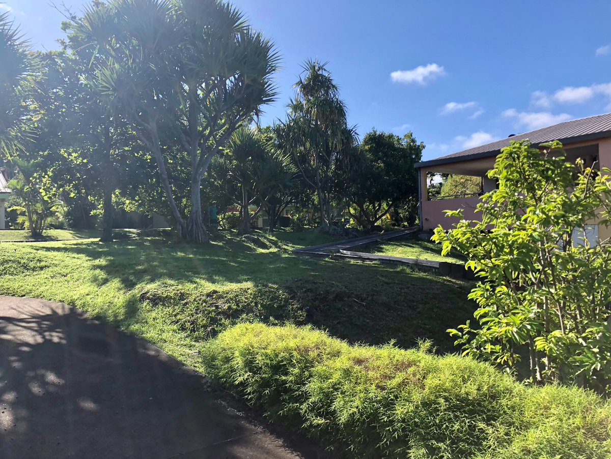 Auticiel tweet media