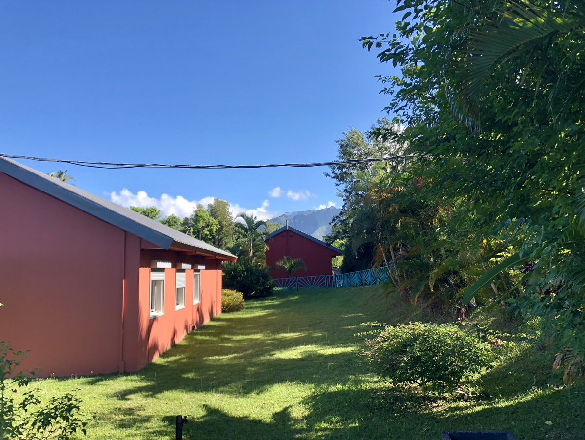 Auticiel tweet media