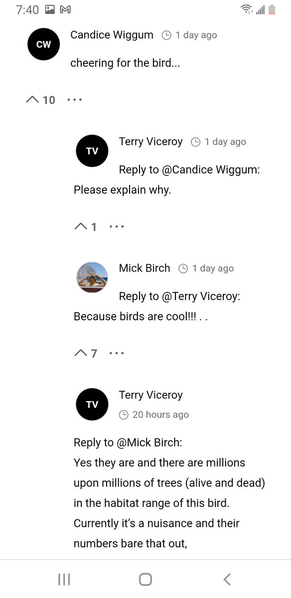 BirdingBS's tweet photo. Okay Mike you're forgiven, but now Terry is on my shit list https://t.co/5se4pP3grw