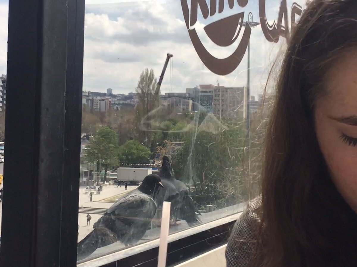 Güvercinlere patates vermek yasak dendi.