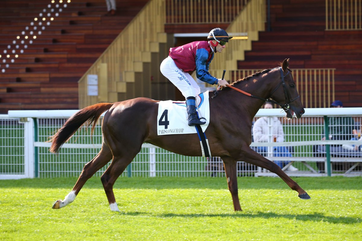 Ce dimanche à #ParisLongchamp aura lieu le 1er Groupe I de la saison, le Prix Ganay. 
Mare Australis va tenter le doublé, mais qui sera le meilleur ? La réponse demain 📲