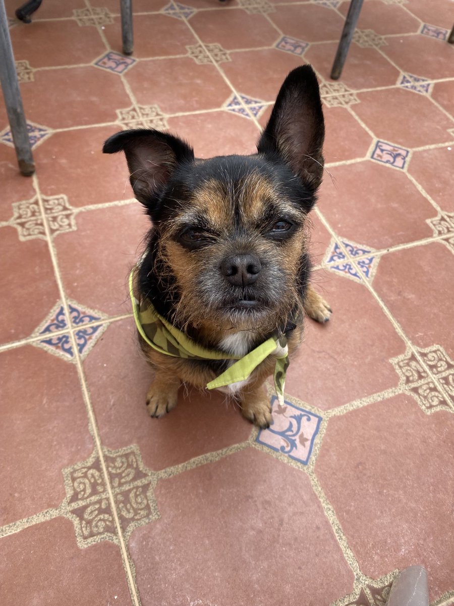 ali grant tweet media