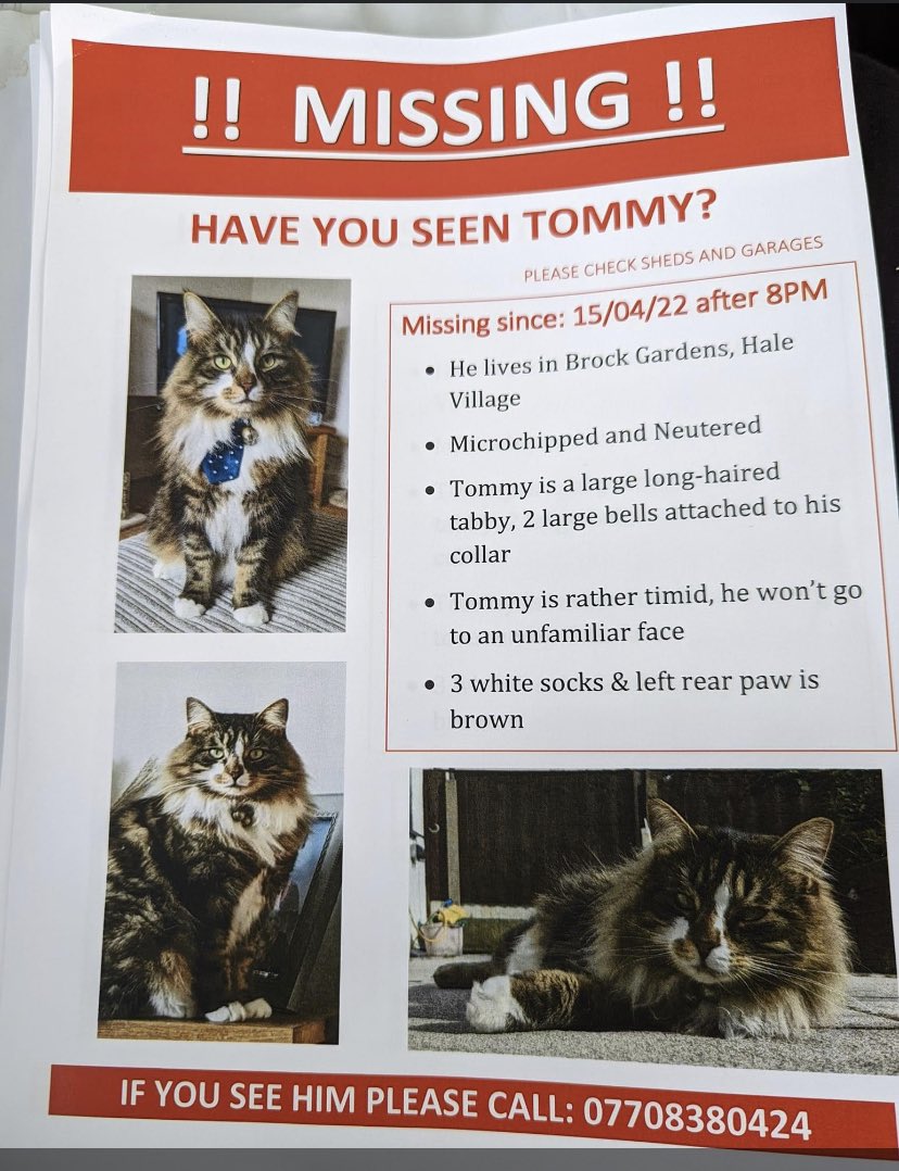 madmoo76's tweet photo. If any one sees him - or hears him ( he has bells on his collar) please get in touch 💖💔 https://t.co/RnJpUYy1kH