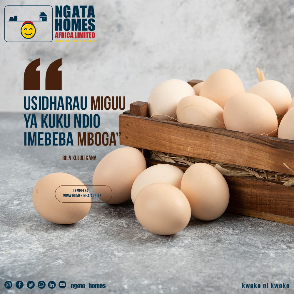 ngata_homes's tweet photo. Moja ya misemo ya kiswahili yenye maana kubwa sana, kuwakumbusha na kuwaasa watu kwamba katika mambo makubwa na yanayoonekana ya muhimu kuna mambo madogo ambayo ndio msingi wa mambo hayo makubwa.
Ngata Homes inakutakia wiki njema yenye mafanikio
#kwakonikwako https://t.co/byWJ1EWe3H