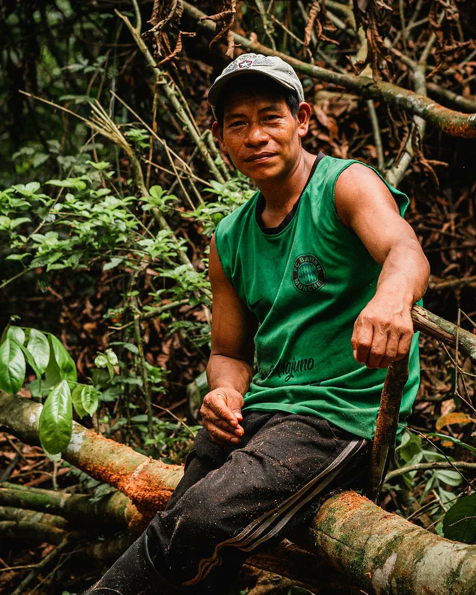 Terrykola_'s tweet photo. Algunas fotos de mi paso por la Amazonía Ecuatoriana. En 1 mes voy a volver.
#ecuador #amazonas https://t.co/y2unChX0pz