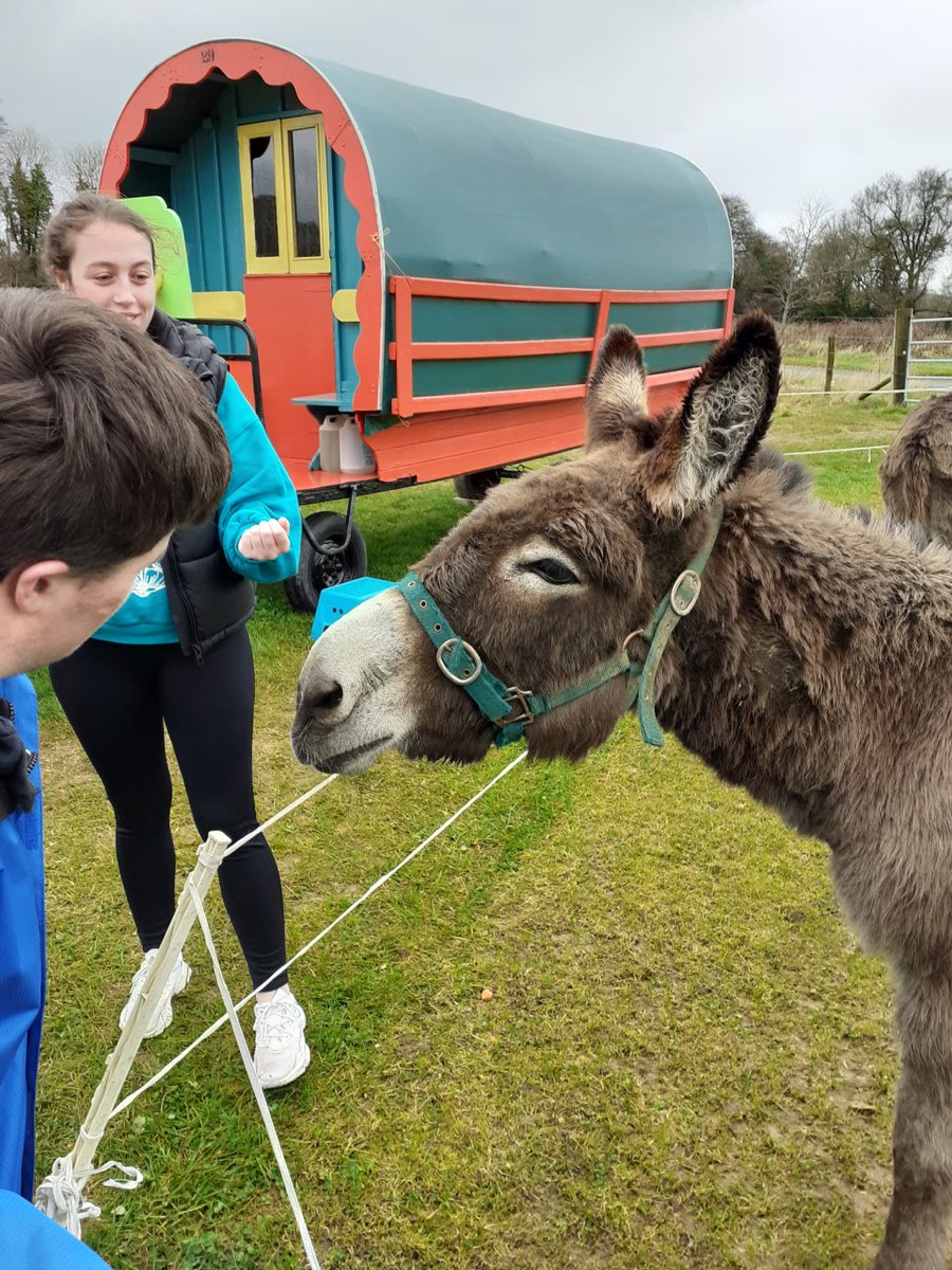 StCatherinesSCA's tweet photo. The young men in Fairwinds went out last week for an #Easter egg hunt at Clissmann Horse Caravans &amp; Glamping. All of us had a fabulous time on a great day out! 🐰🥚 
#EggHunt #Easter2022 https://t.co/OM9QyyxqRr