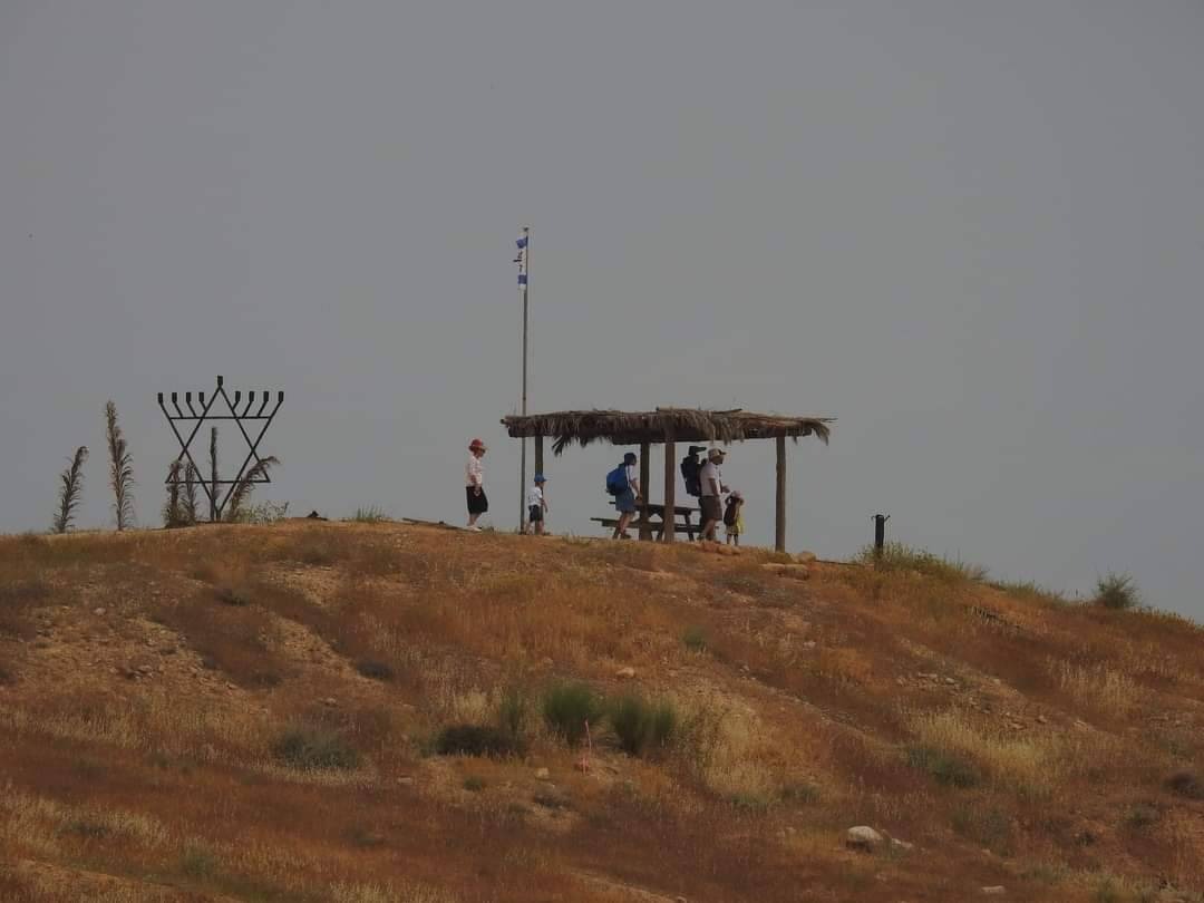 Operation Dove tweet media