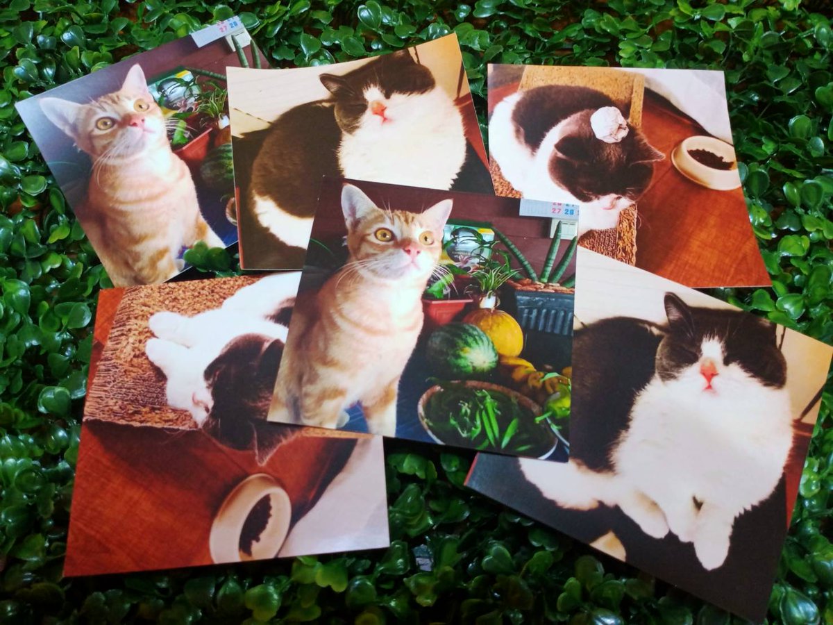 🌈💖 รับพิมพ์ Square postcards มีโปรโมชั่น

🌈💖 4×4 ich ใบละ 6.5 ฿ ขั้นต่ำ 24 ใบ ส่งฟรี

🌈💖 5×5 ich ใบละ  10 ฿ ขั้นต่ำ 24 ใบ ส่งฟรี

🌈💖 6×6 ich ใบละ 15 ฿ ขั้นต่ำ 20 ใบ ส่งฟรี

#squarepostcards #โปสการ์ดสี่เหลี่ยมจัตุรัส #รับทำของแจก #โปสการ์ด #cute  #รับทำGiveaways #Giveaway