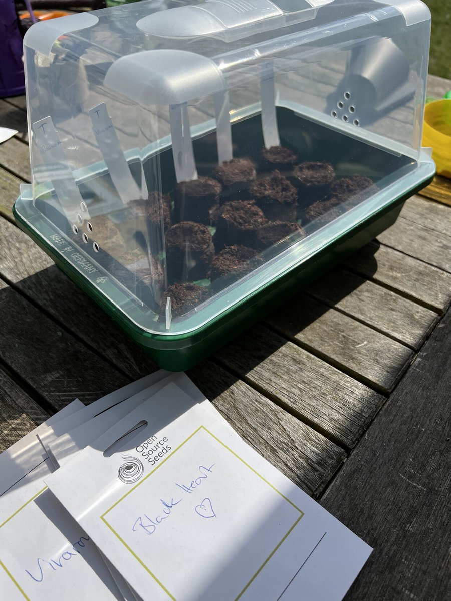 fihu's tweet image. Ich mach mal so #OpenSourceSeeds