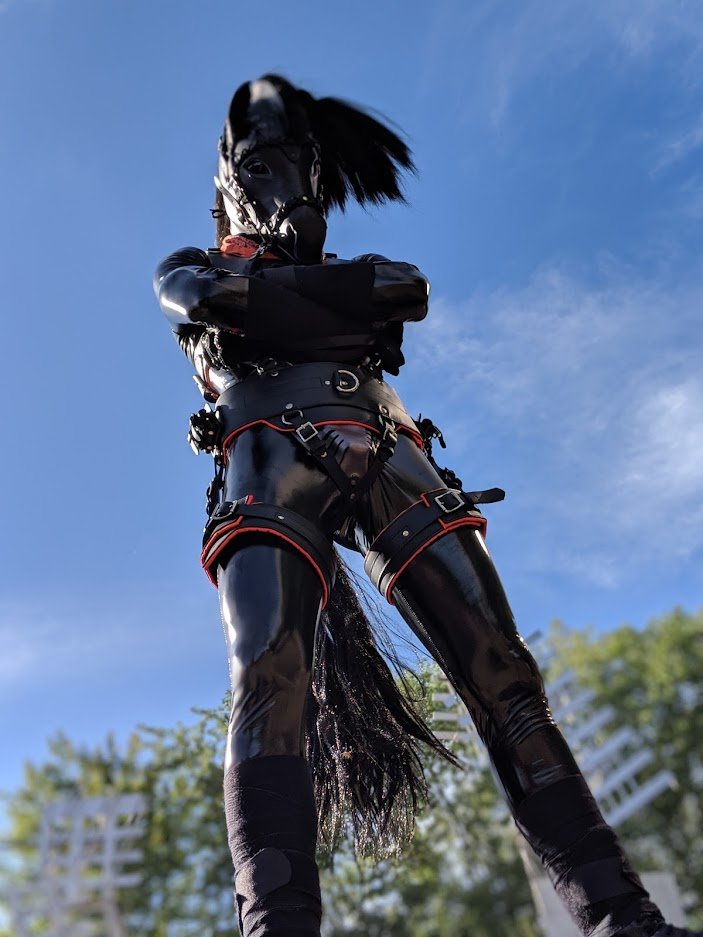 CybGallup's tweet photo. So I've heard yesterday was #InternationalSpandexDay? Better late than never!
Suit made by skinz: https://t.co/P51iOvHwTz
#ponyplay #petplay #fetish https://t.co/dQ6hb3SCpG