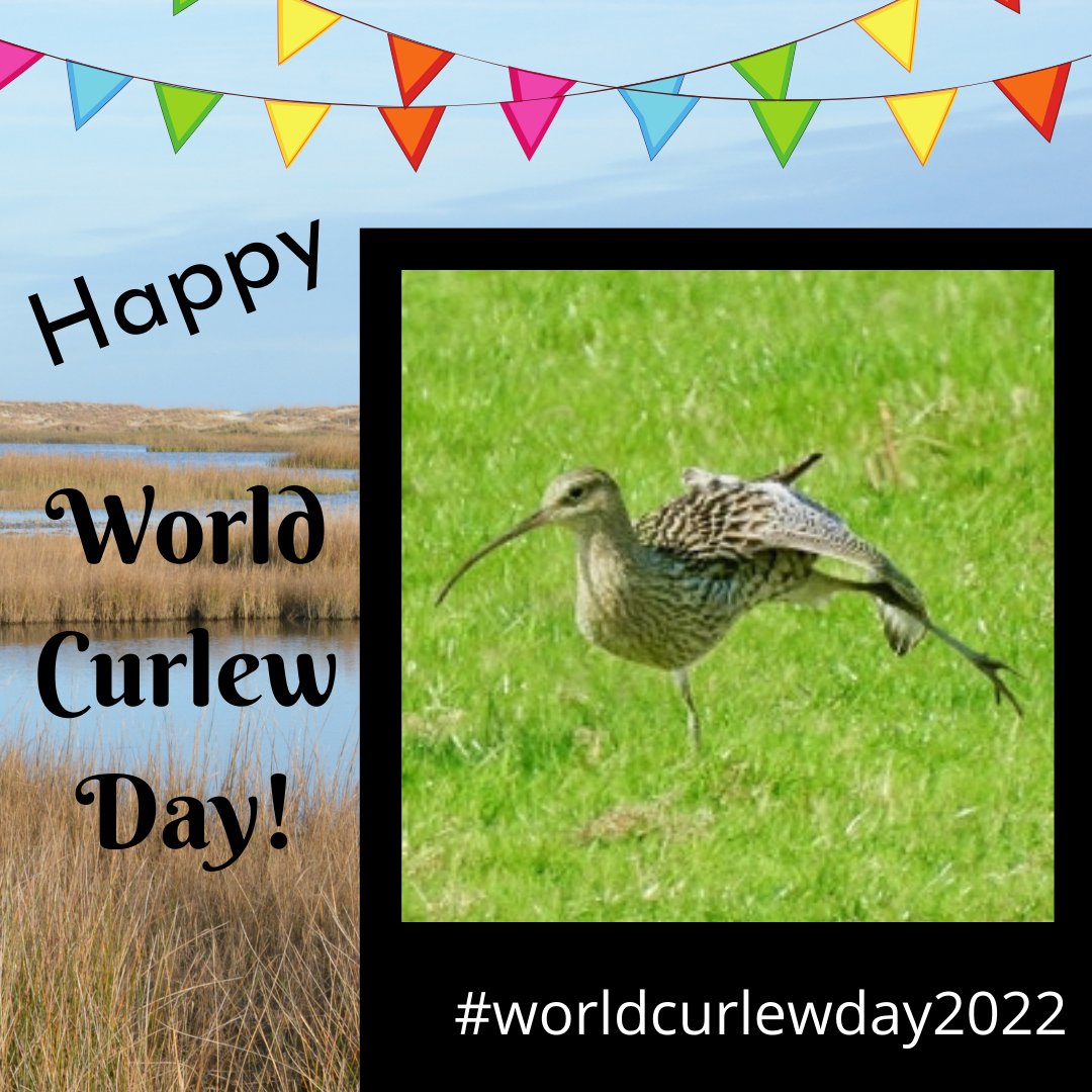 Wild Oxfordshire (@wildoxfordshire) on Twitter photo Celebrating #WorldCurlewDay with ‘The Changing Fortunes of Curlews’ by @mikepnature our Curlew Recovery Project Officer banburyornithologicalsociety.org.uk/index.php/news…
<a href="/curlewrecovery/">Curlew Recovery Partnership</a>
<a href="/curlewcalls/">Mary Colwell</a>
<a href="/curlewaction/">Curlew Action</a>
<a href="/Natures_Voice/">RSPB</a>
<a href="/BBOWT/">BBO Wildlife Trust</a>
<a href="/NaturalEngland/">Natural England</a>
<a href="/EnvAgency/">Environment Agency</a>
<a href="/RiverThameCT/">River Thame CT</a>
<a href="/OOSbirding/">Oxford Ornithological Society</a>
<a href="/TVERC1/">Thames Valley Environmental Records Centre</a> Celebrating #WorldCurlewDay with ‘The Changing Fortunes of Curlews’ by @mikepnature our Curlew Recovery Project Officer banburyornithologicalsociety.org.uk/index.php/news…
<a href="/curlewrecovery/">Curlew Recovery Partnership</a>
<a href="/curlewcalls/">Mary Colwell</a>
<a href="/curlewaction/">Curlew Action</a>
<a href="/Natures_Voice/">RSPB</a>
<a href="/BBOWT/">BBO Wildlife Trust</a>
<a href="/NaturalEngland/">Natural England</a>
<a href="/EnvAgency/">Environment Agency</a>
<a href="/RiverThameCT/">River Thame CT</a>
<a href="/OOSbirding/">Oxford Ornithological Society</a>
<a href="/TVERC1/">Thames Valley Environmental Records Centre</a>