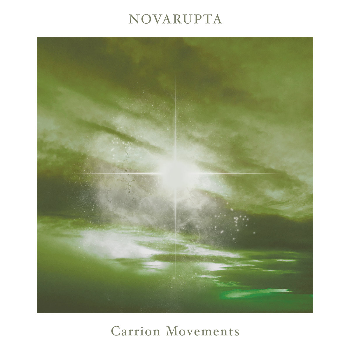 Review | <a href="/NovaruptaBand/">Novarupta</a> - Carrion Movements by <a href="/garydavidson83/">Gary Davidson</a>. "Album three of a four part series see Novarupta turn to longer instrumental post-metal and it is glorious. When given the correct time and attention these two tracks have endless rewards." pos.li/2l2r30