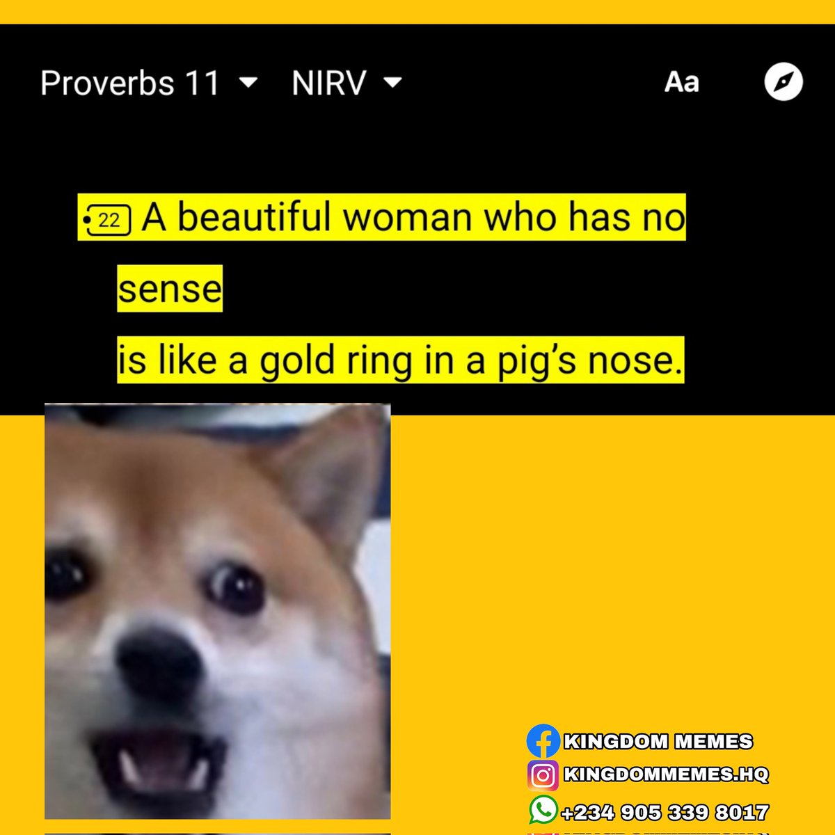 KingdomMemes_hq's tweet photo. AH!!😫😫 Proverbs is full of vawulence!!! https://t.co/MiL52oxcdT