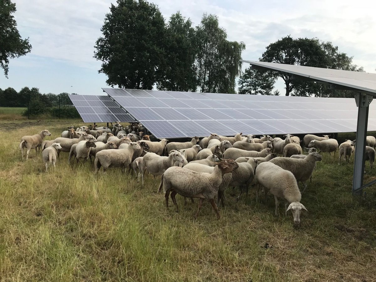 Ben je ook benieuwd naar de voordelen van coöperatieve zonne- en/of windparken bij jou in de buurt? Dan nodigen wij je uit voor een excursie naar de duurzame opwekcoöperatie 'Zonnemaatje' op maandag 9 mei, van 18.00 - 21.30 uur. Aanmelden kan tot 25 april bit.ly/3L52zw3
