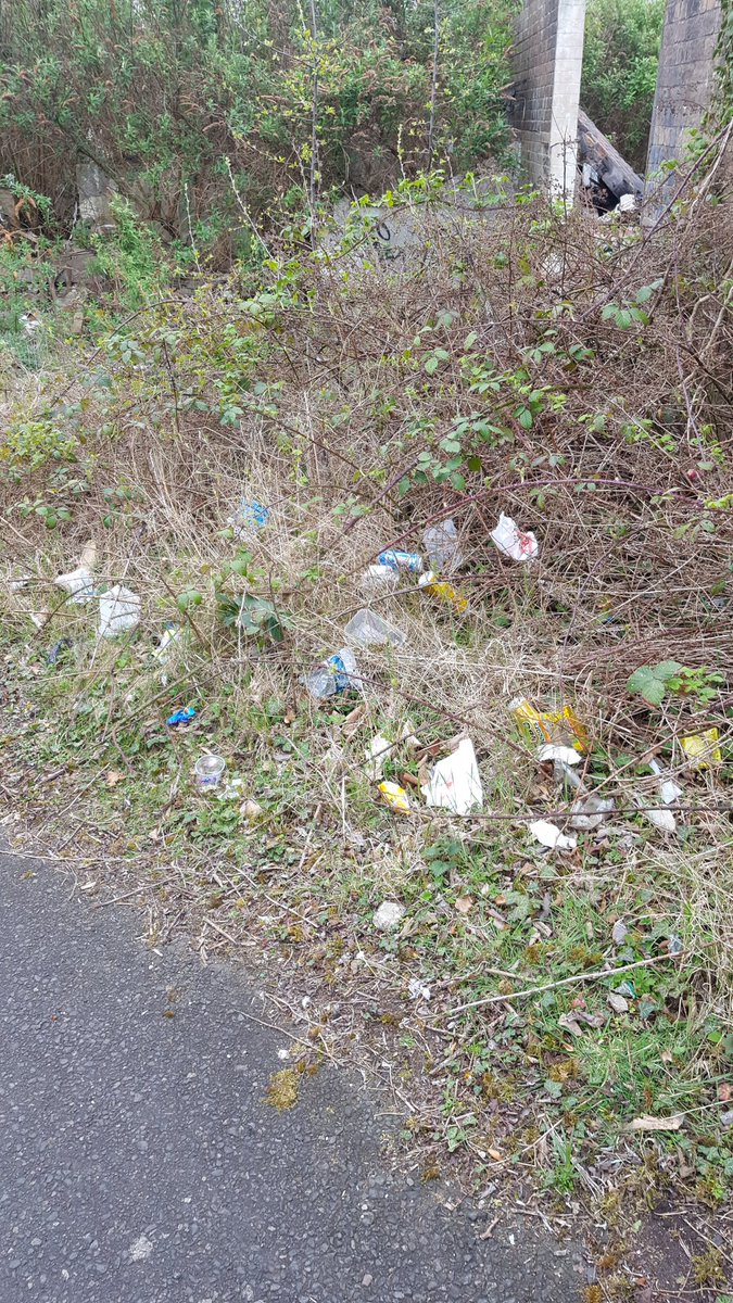 Dorydoooory's tweet photo. Today's walk in #Inverkeithing  #Fife this could be a beautiful place! What is the council doing? https://t.co/ML9tyIA1Jr