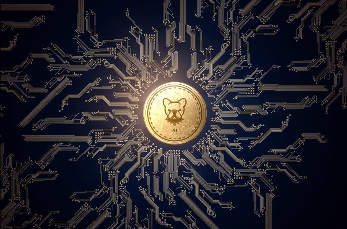 bscpitarmy's tweet photo. Do you hear your footsteps? We're coming for you. $PIT @BscPitbull #Bitcoin #btc #PitChart #PitbullCrew https://t.co/RK5ewN85Sv