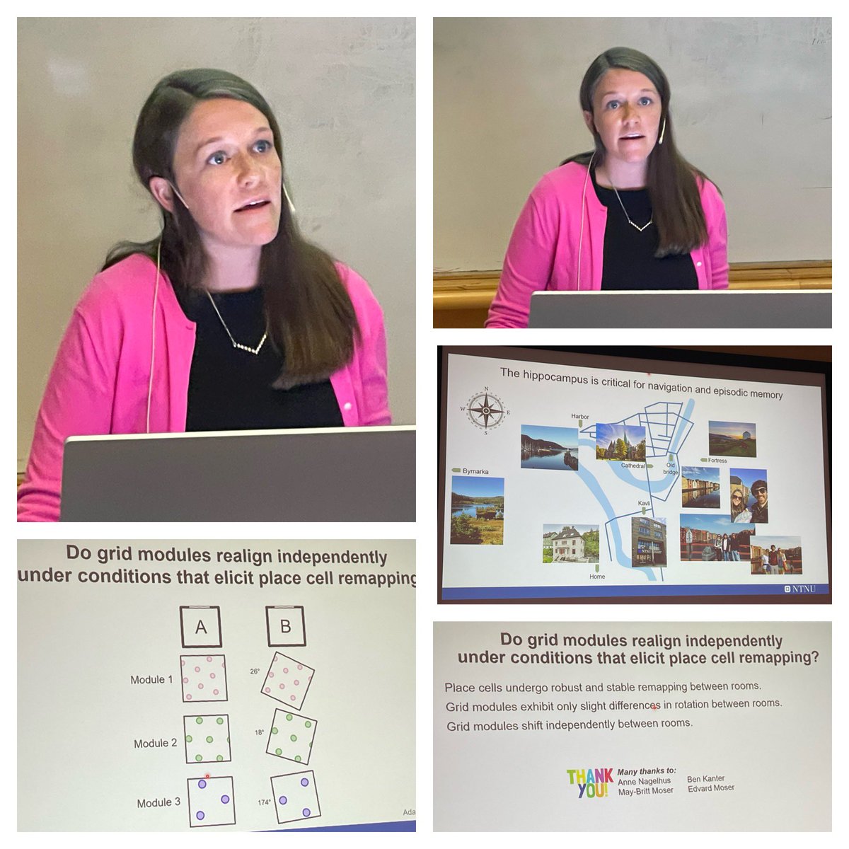 Do grid modules realign independently under conditions that elicit place cell remapping? This is the research question investigated by @christylykken in the #Moser Group at @KISNeuro