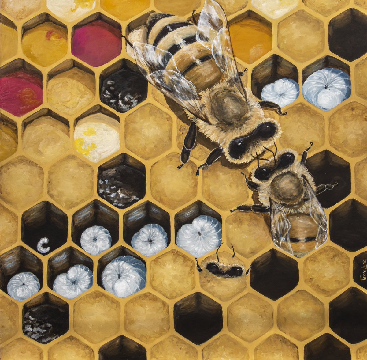 Sharing the first of a series of pollinator murals created by artist and former High Tunnel Assistant, Terra Cash. This gorgeous painting depicts the life cycle of a honeybee and will be installed here outside our office. We hope you'll come see it in person sometime this year!