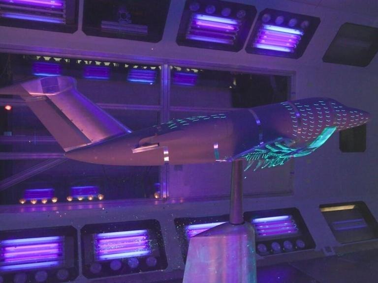 Nature-inspired wing demonstrator completes wind-tunnel tests

bit.ly/3uEFxXi

#Airbus #Aerospace