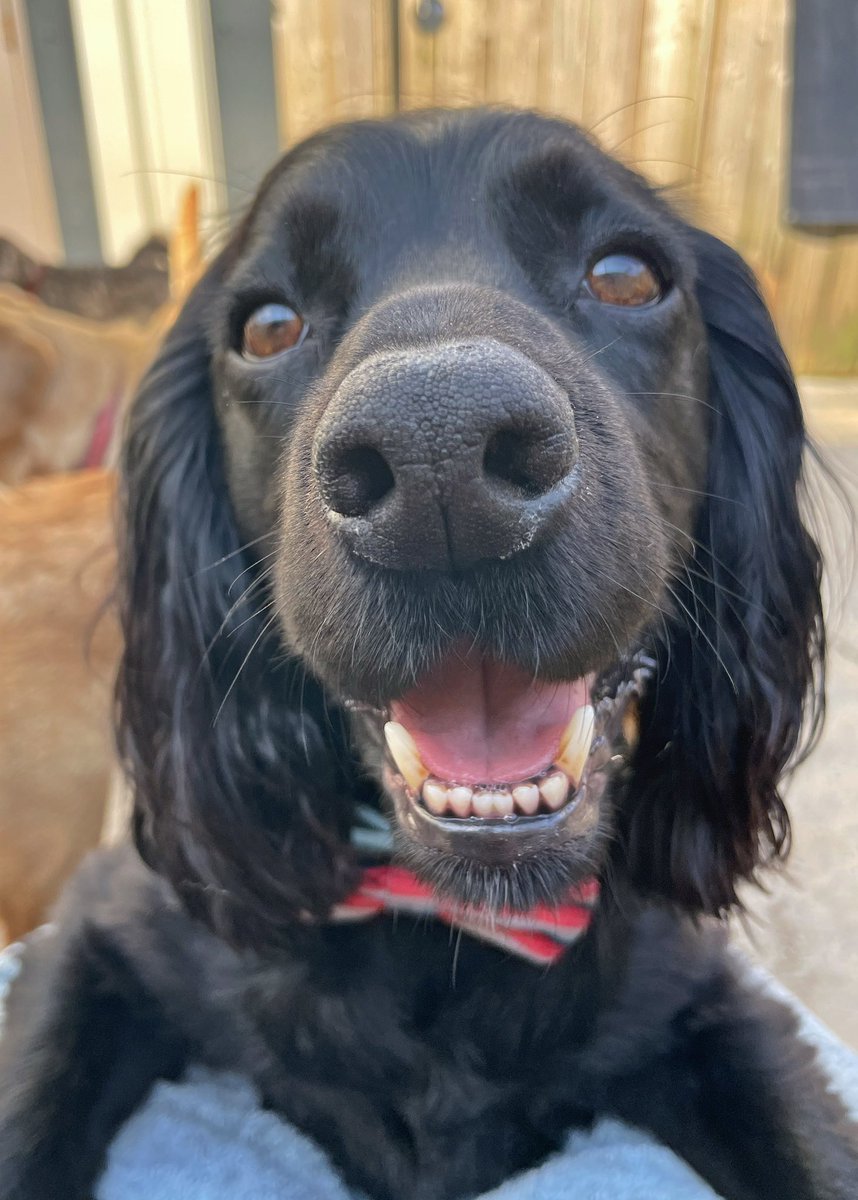 Hi, welcome to chillies.