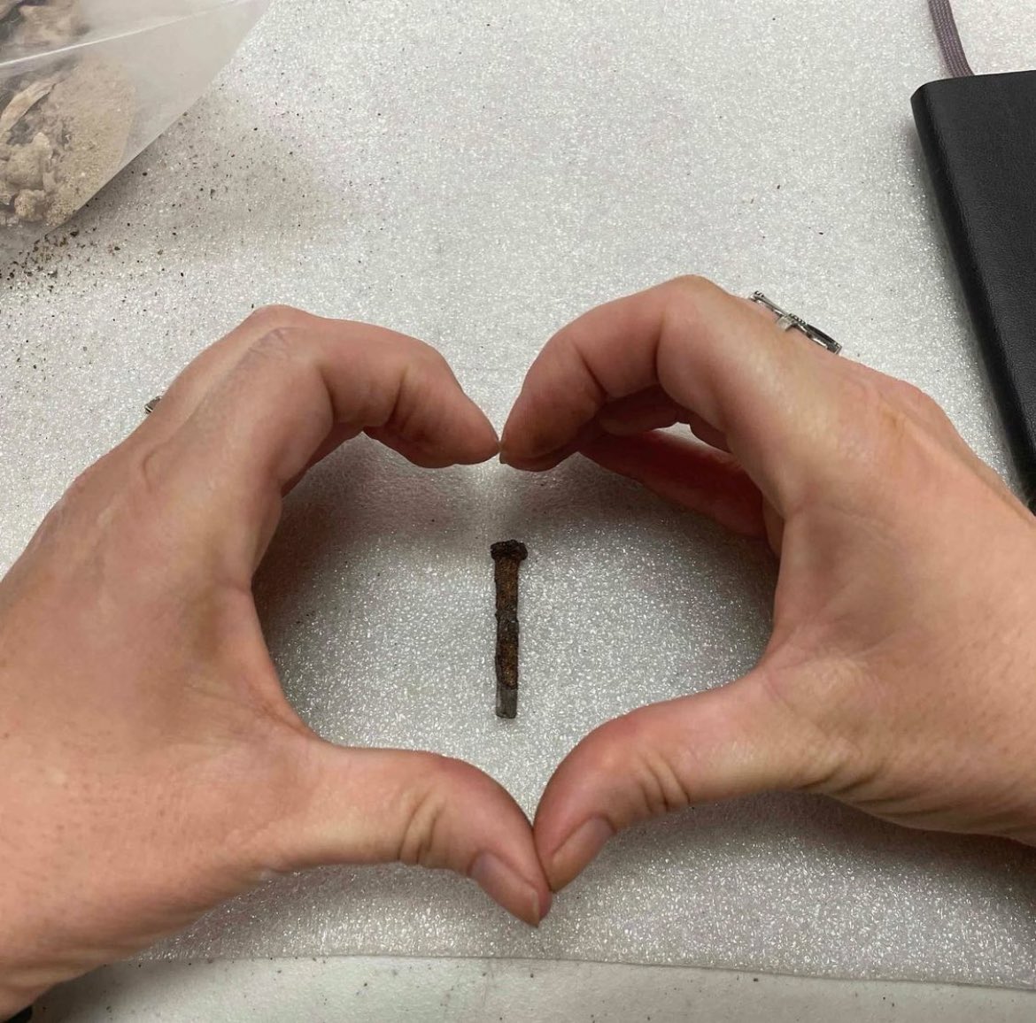 One night only: hear me talk about my second favorite artifact type, the humble nail:) Tonight, 7 pm, free and open to the public. #archaeology #artifacts #pubarch