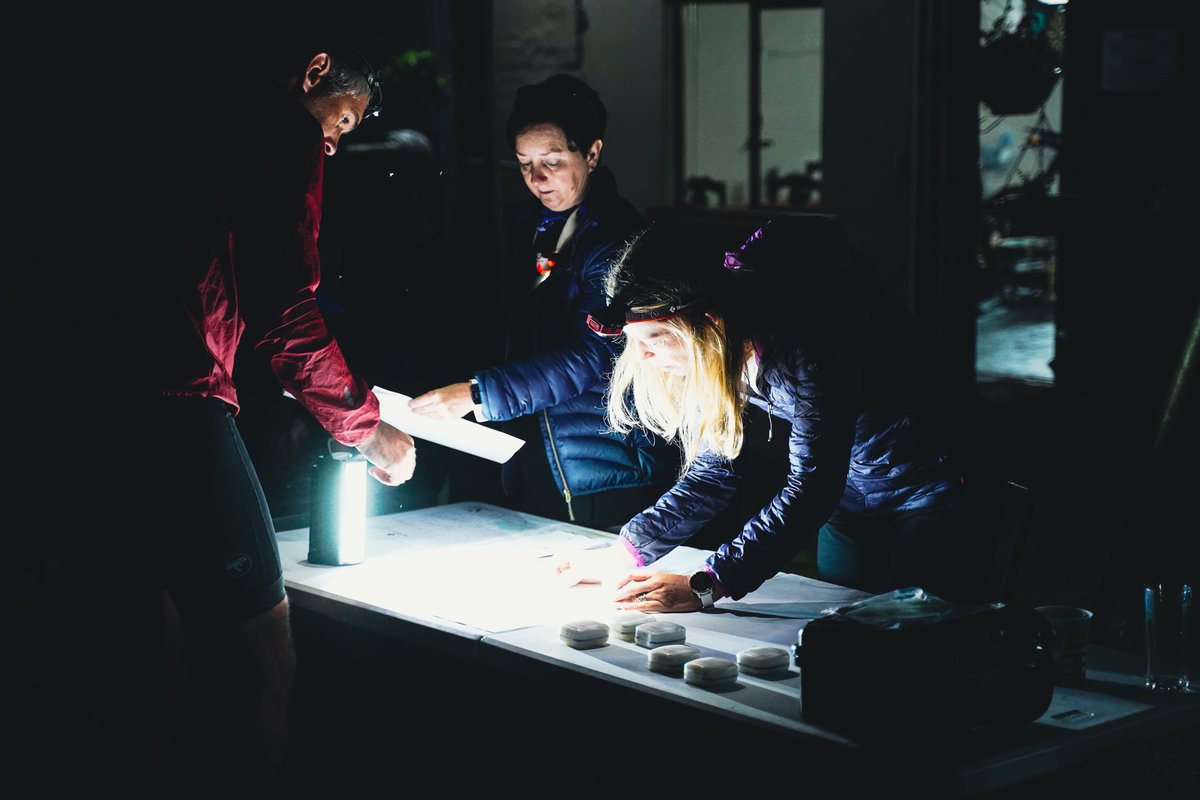 Cape Canopy Tour tweet media