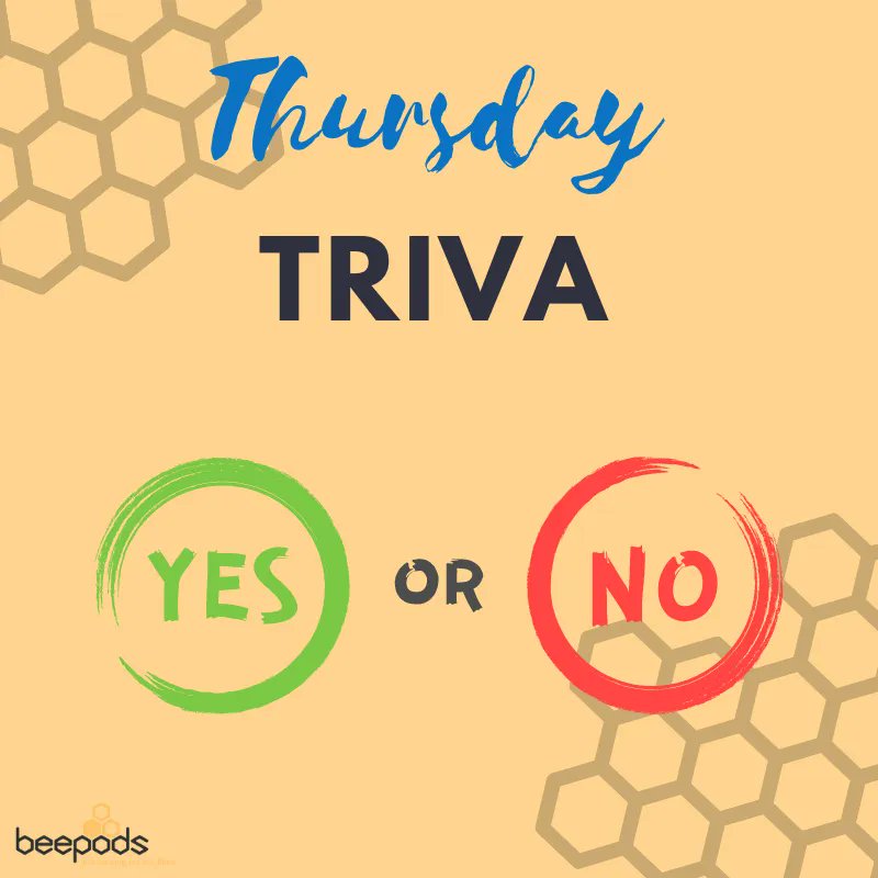 Beepods tweet media