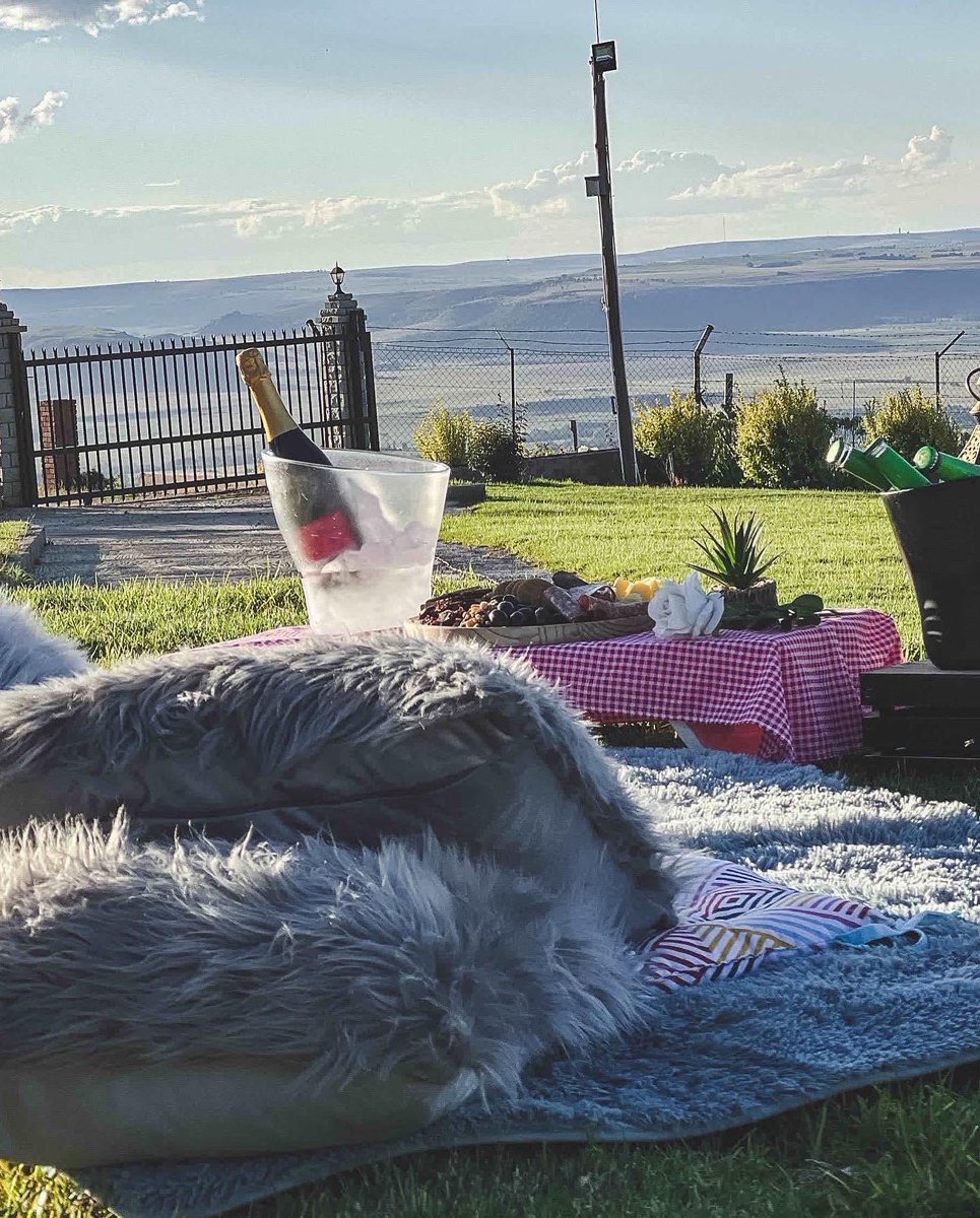 MaxSCorner01's tweet photo. Book yourself our #love combo from M1400.00.
-One night stay in your own chalet for 2
-charcuterie board for 2
-wine bottle
-picnic setting and decor
#lstwitter #love #datenight #anniversary #birthday #intimatesettings #visitlesotho #maseru #seelesotho #lesothohaeso #lesotho🇱🇸 https://t.co/2BVE6WZ6sb