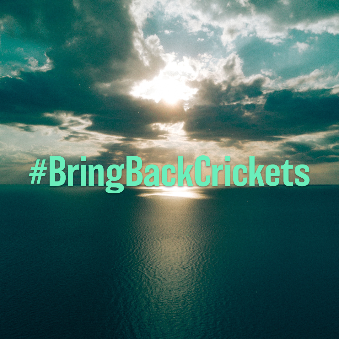 With sustainable changes, we can make a difference in protecting our diverse planet 🌍🌊
#BringBackCrickets