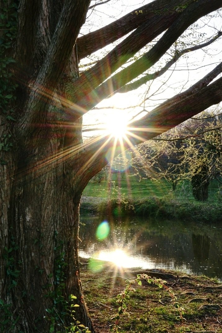 KarissasKapture's tweet photo. Keep your face to the sunshine and you will not see the shadows.
#karissaskaptures #njradiantmeetup #njradiant #Deepcutgardens #MiddletownNJ #NewJersey #njspots #njisbeautiful #njisntboring #Sunbeams #Sunbursts #Reflection #SpringInNewJersey #Springtime #SpringBlooms https://t.co/rHHgBJInjB