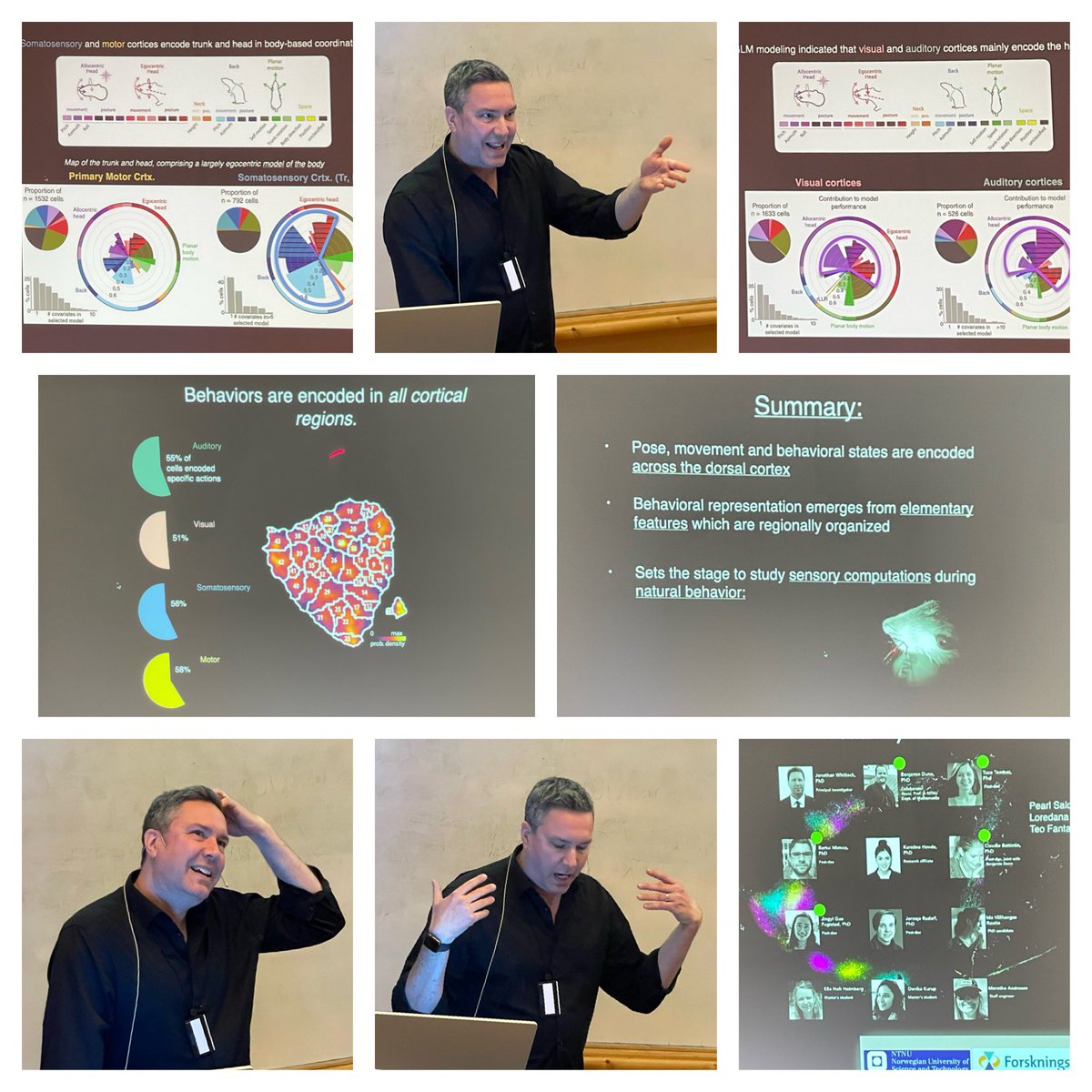 Neural representation of 3D behaviour spanning dorsal cortex in rats, presented across multiple projects by @KISNeuro Group Leader @JonRWhitlock