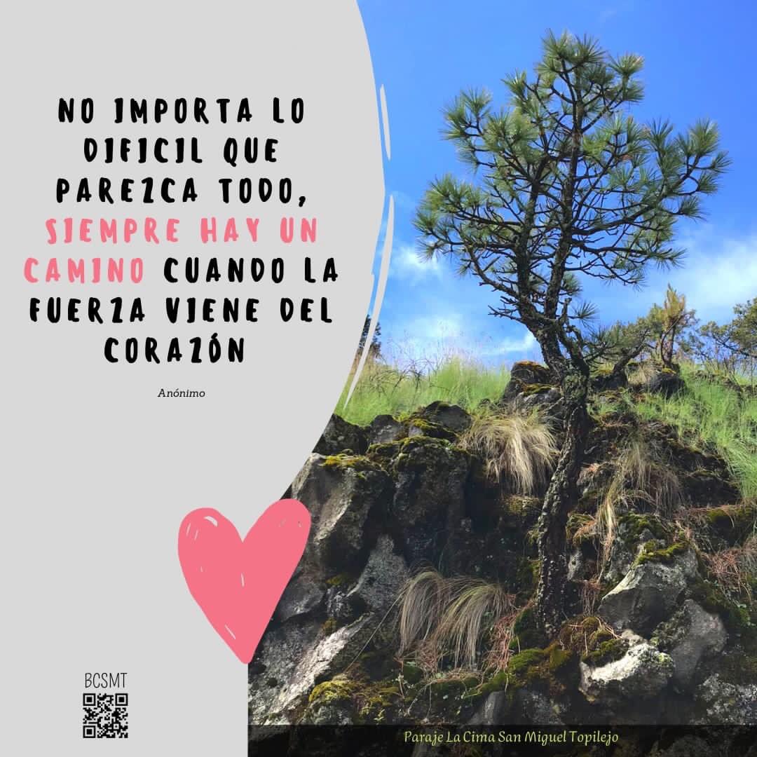 BTopilejo's tweet photo. "Los bosques de Topilejo nos ofrecen importantes mensajes"

Recuerda: ¡¡¡Nuestros bosques son vida, conócelos, cuídalos y defiéndelos!!!

#ConoceTopilejo
#OrgulloTopil
#TopilejoNoSeRinde 
#BosqueTopilejo
#BosqueCDMX
#BosquePueblosOriginarios
#TopilejoTerritorio
#DefiendeTopilejo https://t.co/LTNu85WXTl