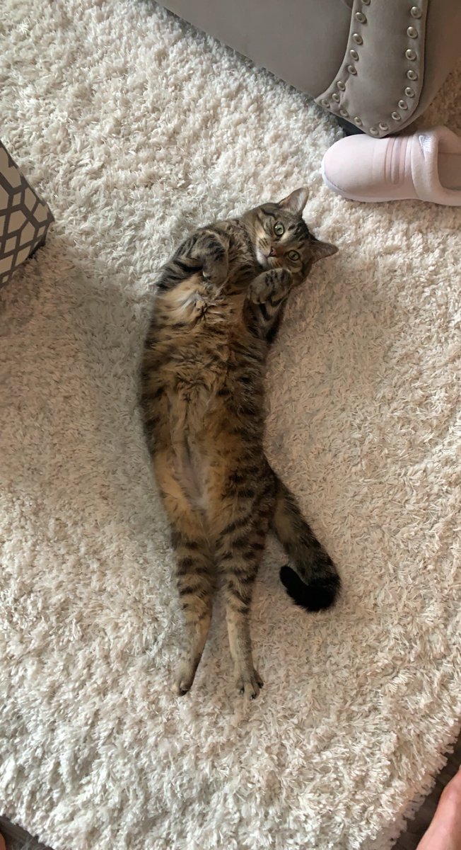 Marie Walicki tweet media